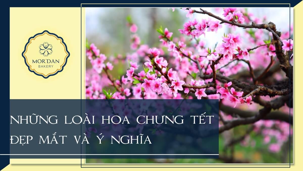 Top 20 loại hoa chơi Tết 2024 đẹp ý nghĩa thu hút tài lộc bạn nên mua