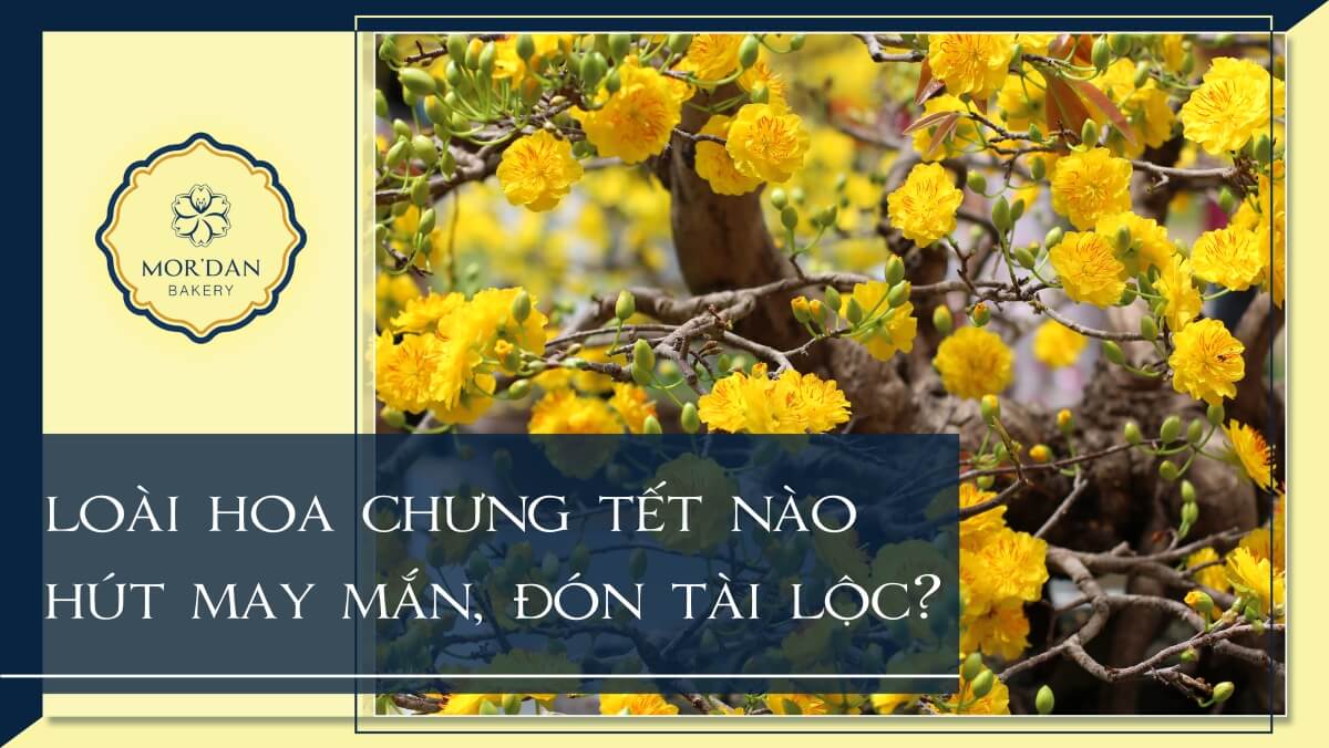 Ý nghĩa các loài hoa chưng Tết thu hút tài lộc may mắn cả năm
