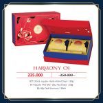 HARMONY 01